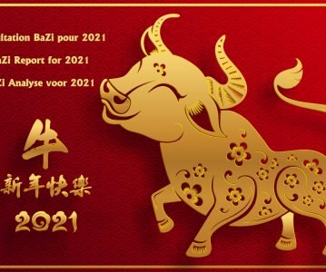 Have your own BaZi Chart analyzed specifically for the Year of the Metal Ox 2021 !