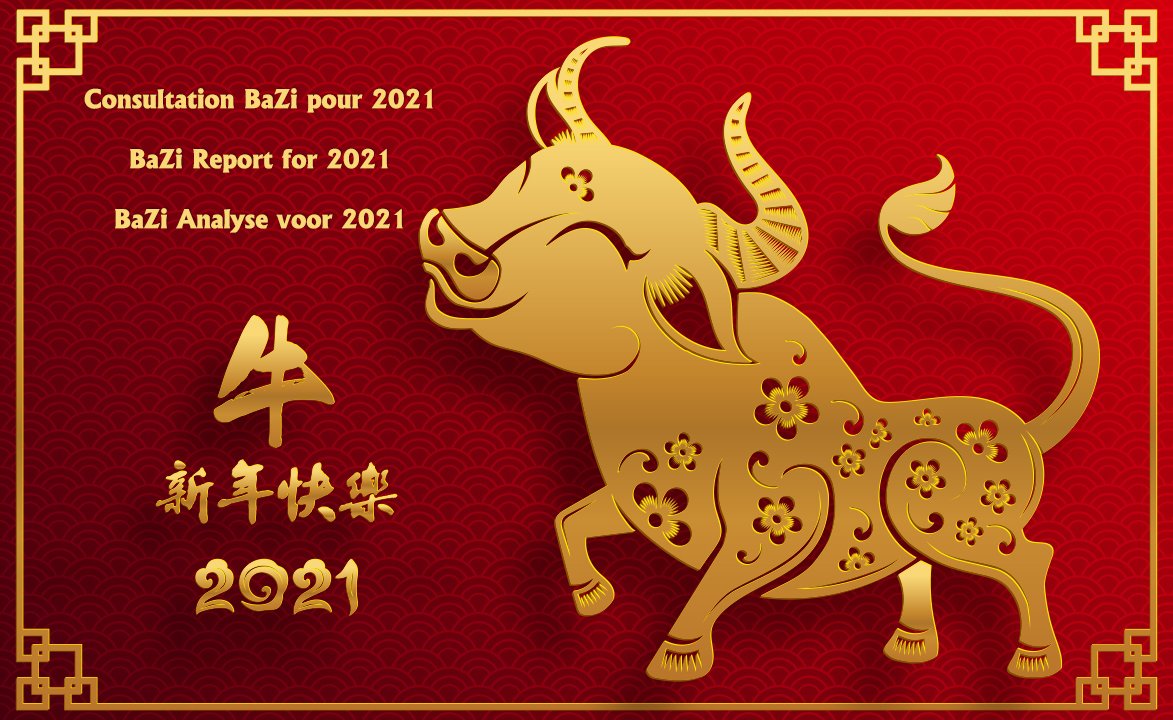 Have your own BaZi Chart analyzed specifically for the Year of the Metal Ox 2021 !